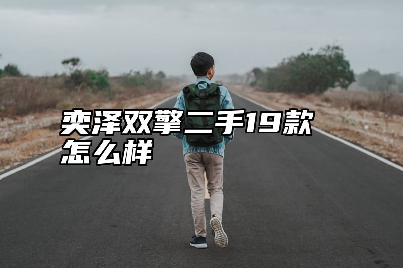 奕泽双擎二手19款怎么样