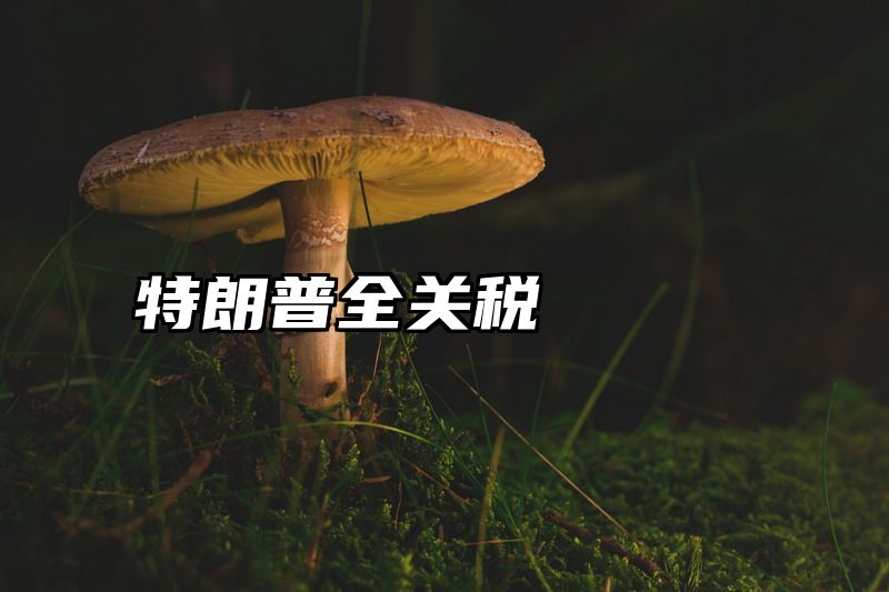 点击查看《特朗普全关税》全文