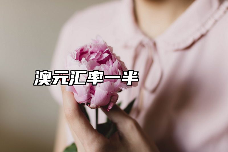 澳元汇率一半