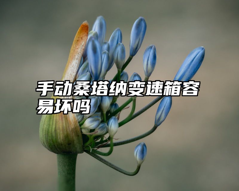 手动桑塔纳变速箱容易坏吗
