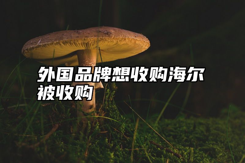 外国品牌想收购海尔被收购