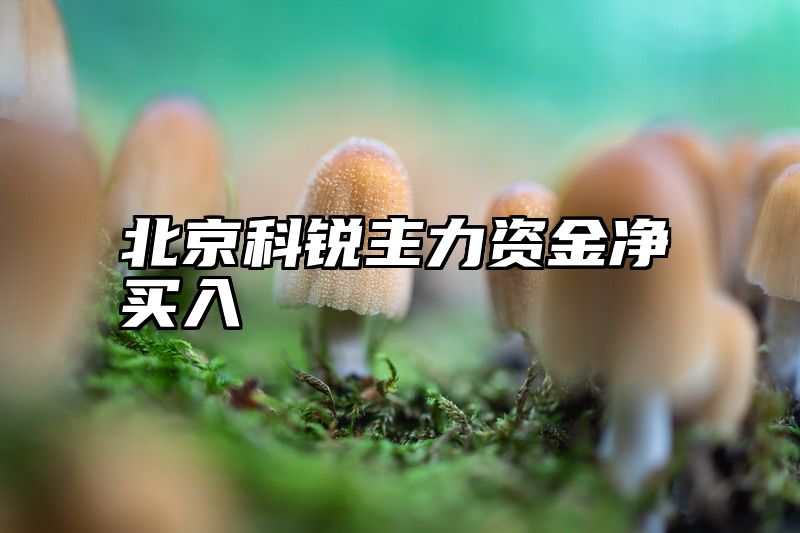北京科锐主力资金净买入