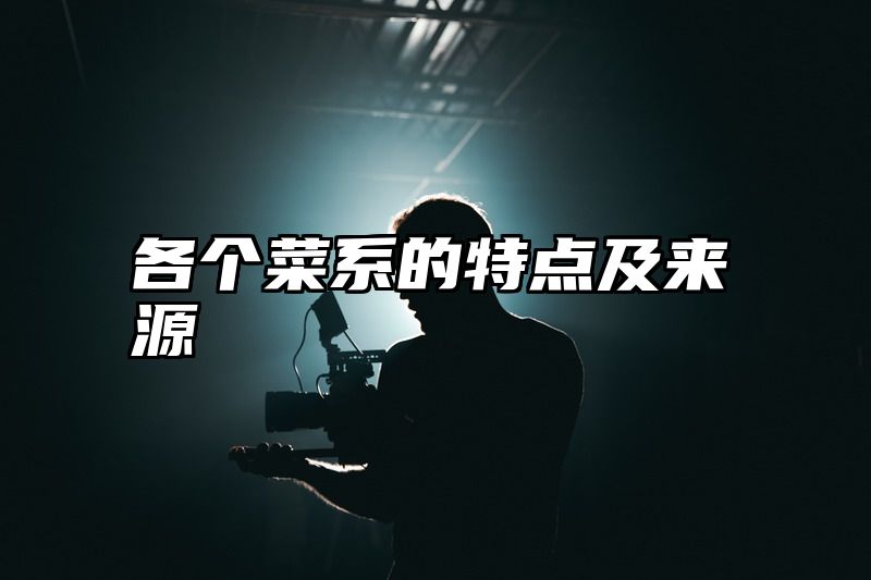 各个菜系的特点及来源