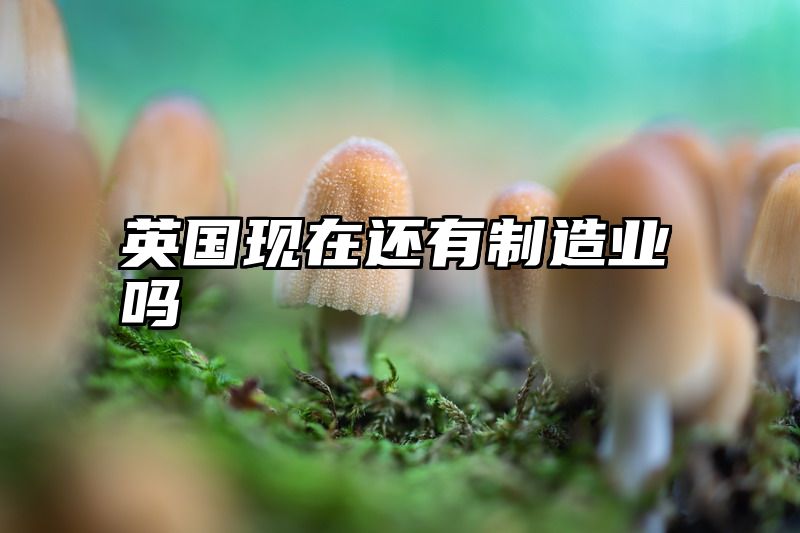 英国现在还有制造业吗