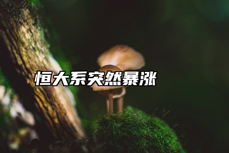 恒大系突然暴涨