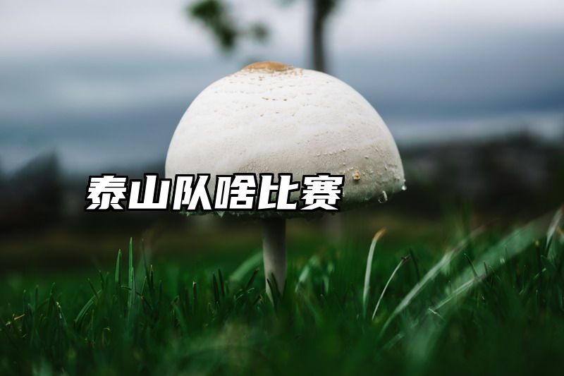 泰山队啥比赛
