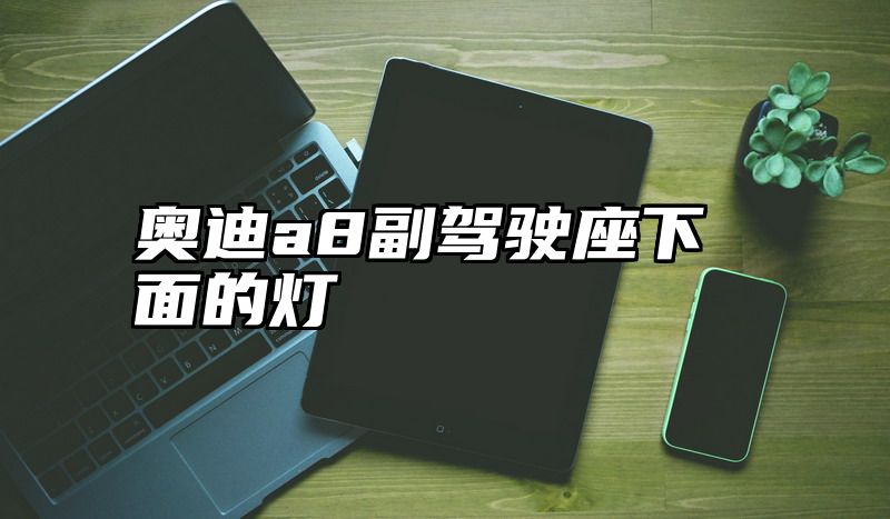奥迪a8副驾驶座下面的灯