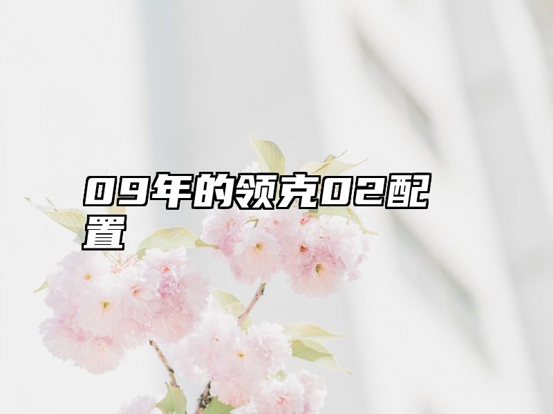 09年的领克02配置