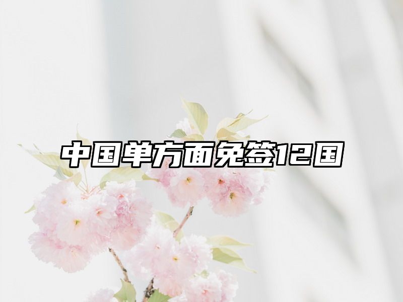 中国单方面免签12国