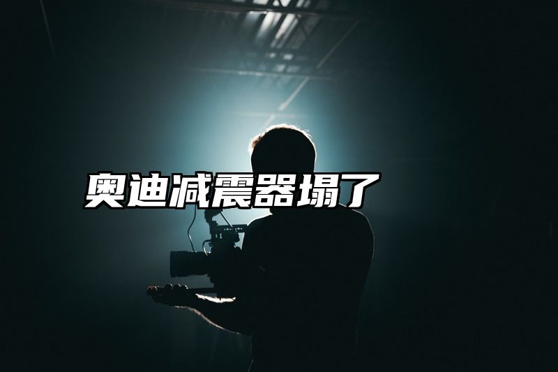 点击查看《奥迪减震器塌了》全文
