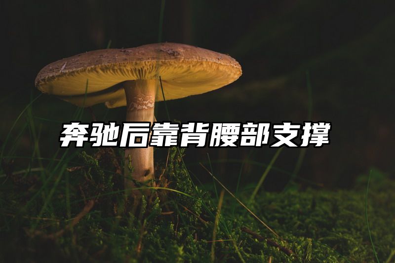 点击查看《奔驰后靠背腰部支撑》全文
