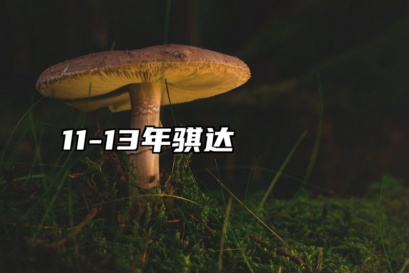 11-13年骐达