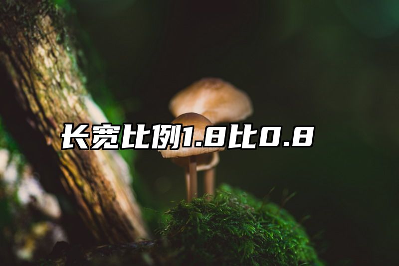 长宽比例1.8比0.8