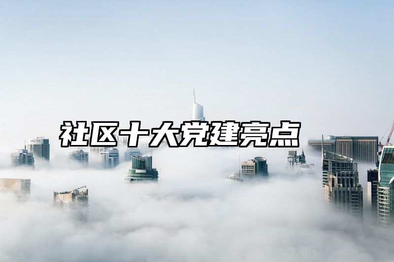 社区十大党建亮点