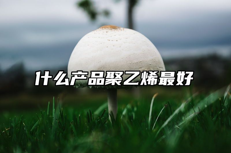 什么产品聚乙烯最好