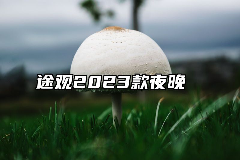 途观2023款夜晚