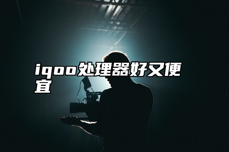 iqoo处理器好又便宜