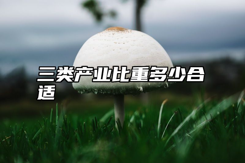 三类产业比重多少合适