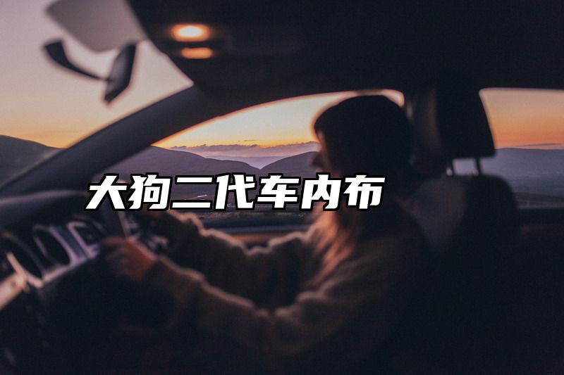 大狗二代车内布