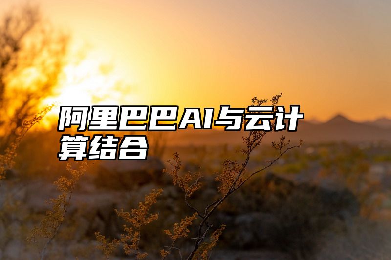 阿里巴巴AI与云计算结合