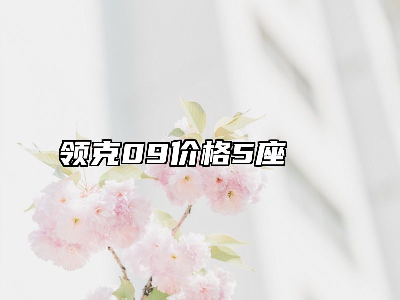 领克09价格5座