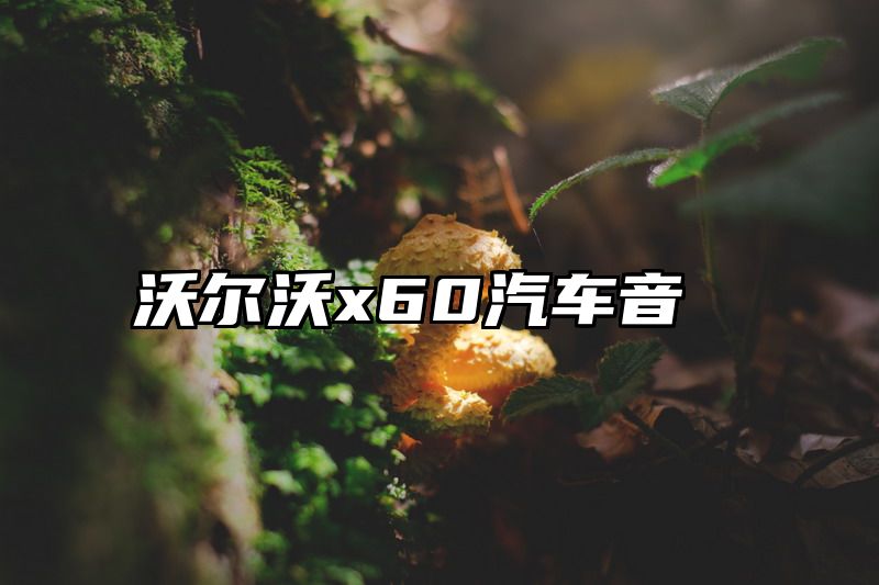沃尔沃x60汽车音