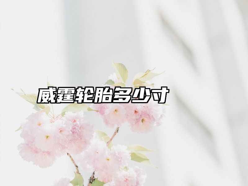 威霆轮胎多少寸