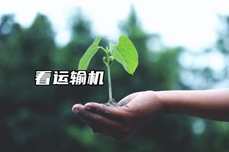看运输机