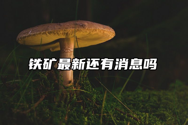 铁矿最新还有消息吗