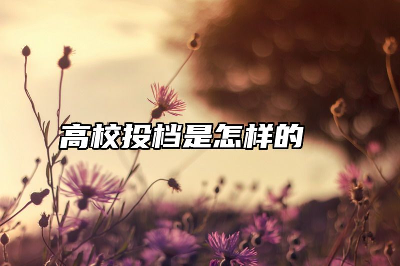 高校投档是怎样的