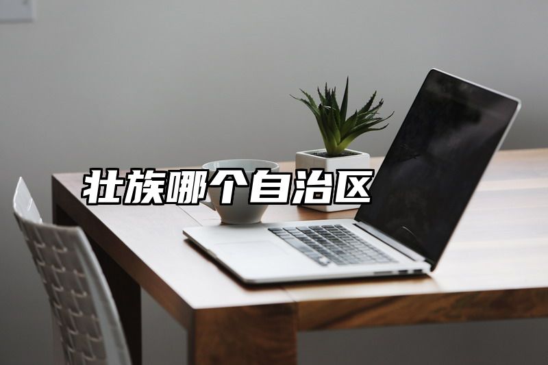 壮族哪个自治区