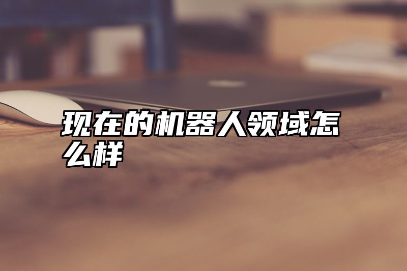 现在的机器人领域怎么样