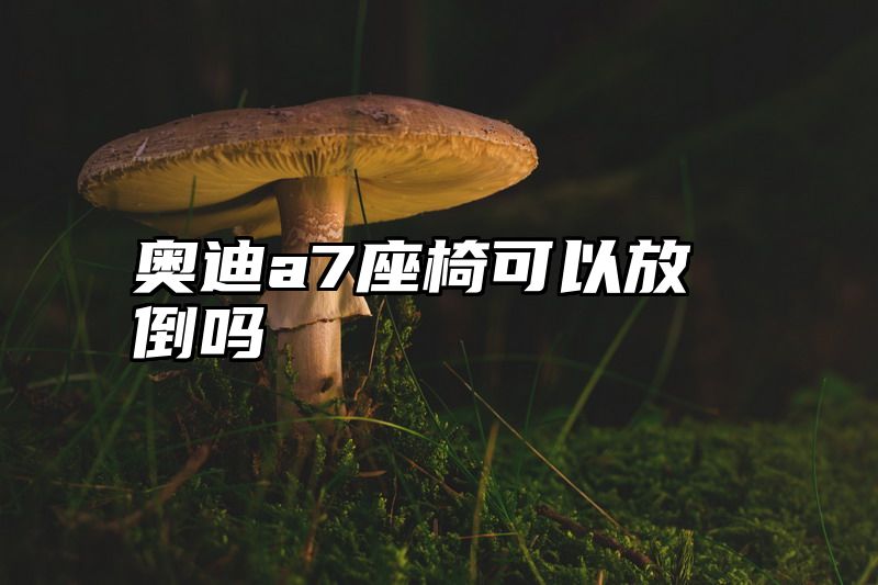 奥迪a7座椅可以放倒吗