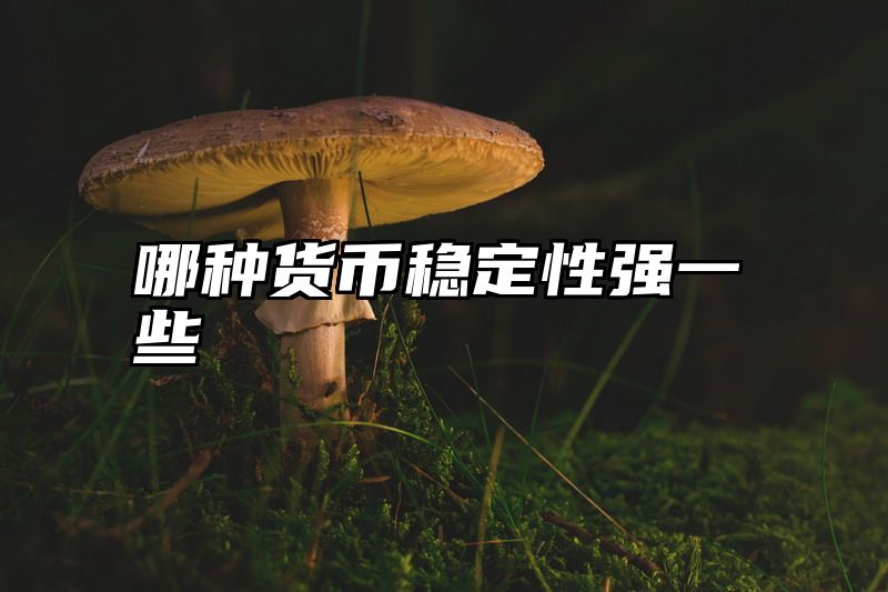 哪种货币稳定性强一些