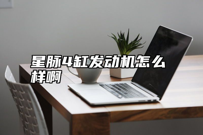 星脉4缸发动机怎么样啊