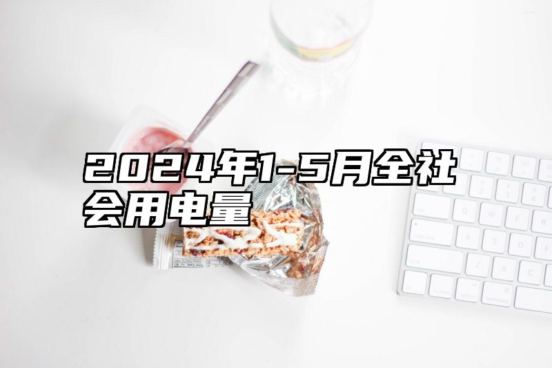 2024年1-5月全社会用电量