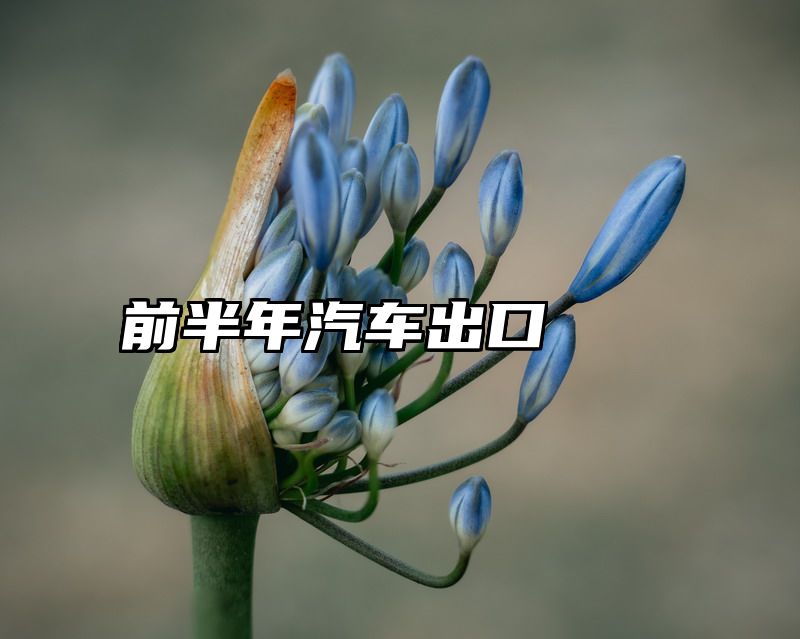 前半年汽车出口