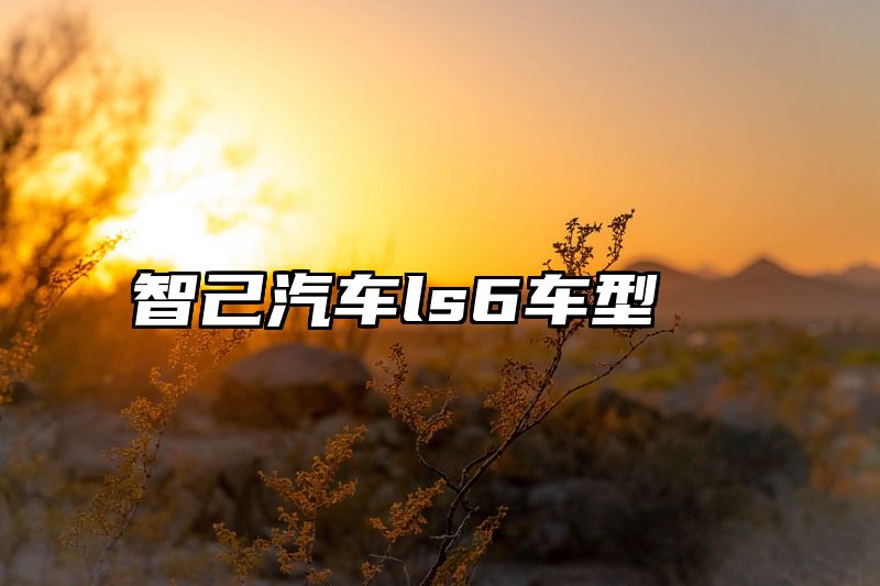 智己汽车ls6车型