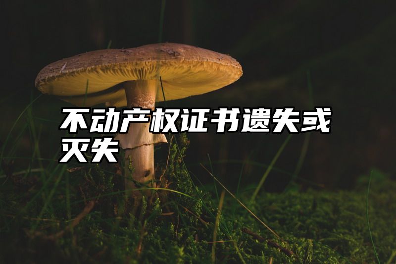 不动产权证书遗失或灭失