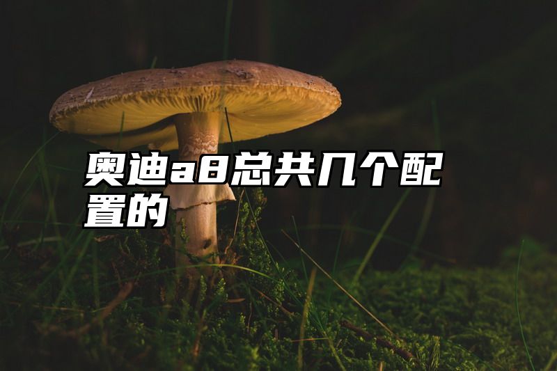 奥迪a8总共几个配置的