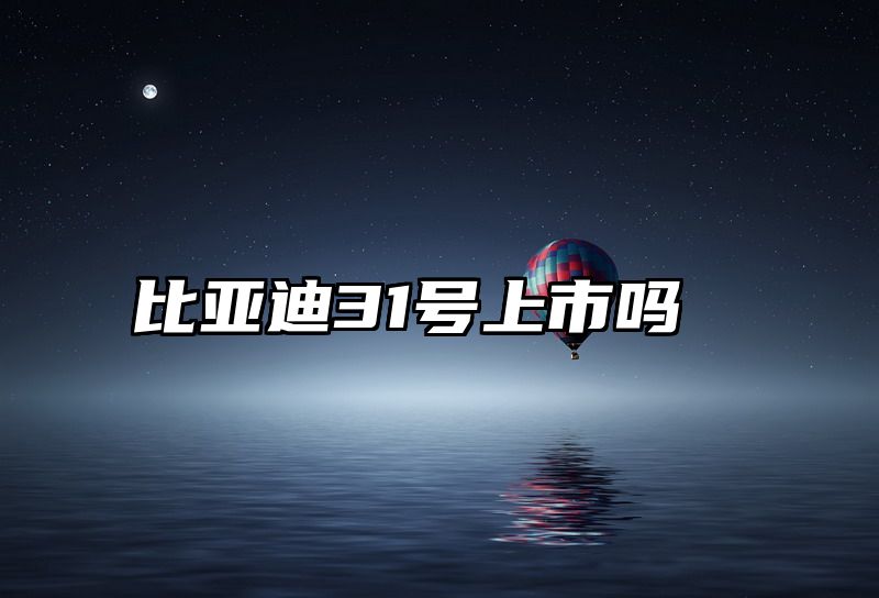 比亚迪31号上市吗