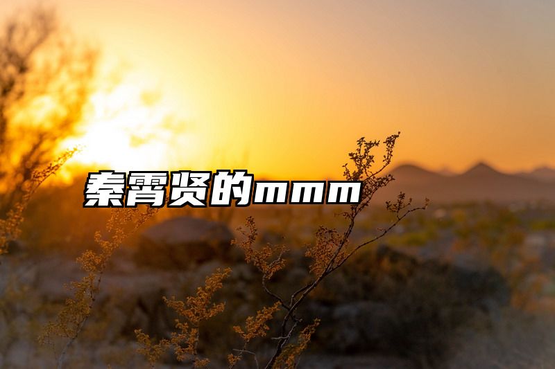 秦霄贤的mmm