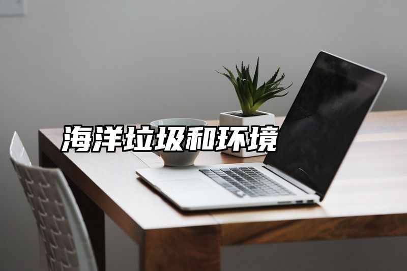 海洋垃圾和环境