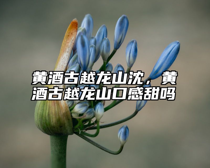 黄酒古越龙山沈，黄酒古越龙山口感甜吗