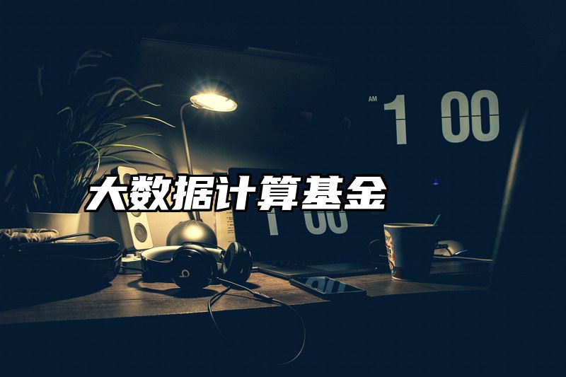 大数据计算基金
