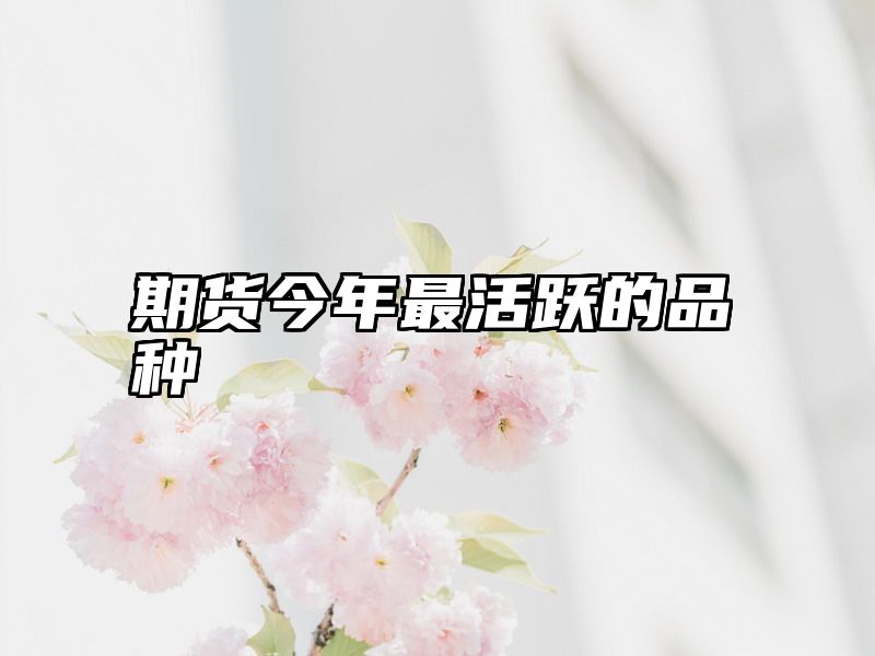 期货今年最活跃的品种