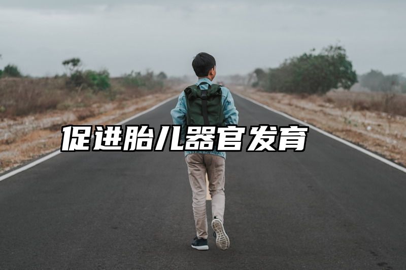 促进胎儿器官发育