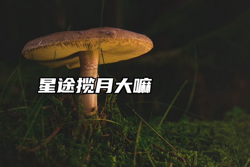 星途揽月大嘛