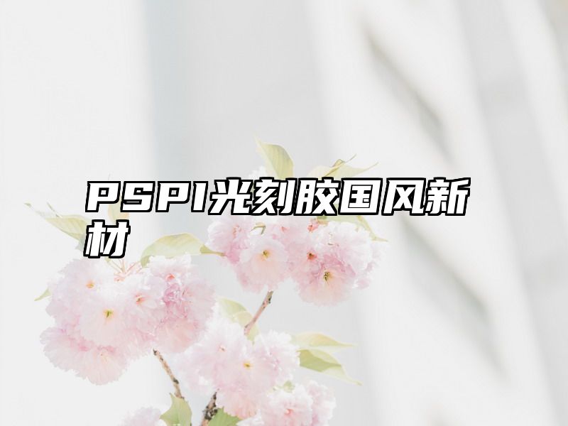 PSPI光刻胶国风新材