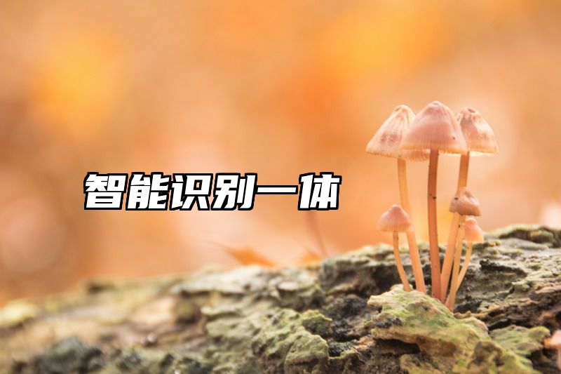智能识别一体